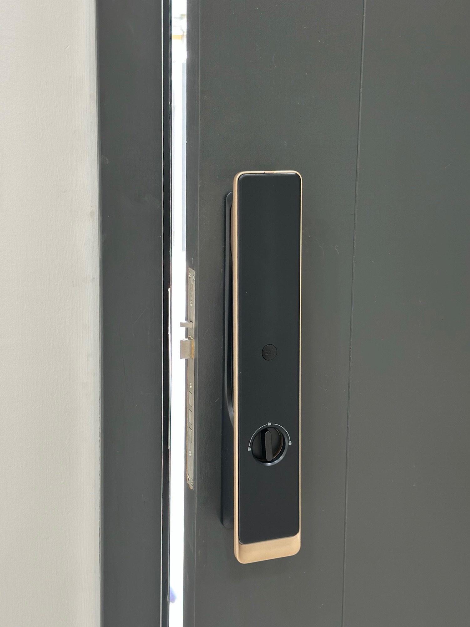 SAM -S50 Smart Grill Lock